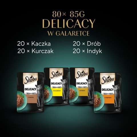 SHEBA Delicacy Drobiowe Smaki w galaretce - mokra karma dla kotów - 80x 85 g SHEBA Delicacy Drobiowe Smaki w galaretce - mokra karma dla kotów - 80x 85 g