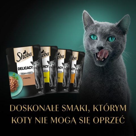 SHEBA Delicacy Drobiowe Smaki w galaretce - mokra karma dla kotów - 80x 85 g SHEBA Delicacy Drobiowe Smaki w galaretce - mokra karma dla kotów - 80x 85 g