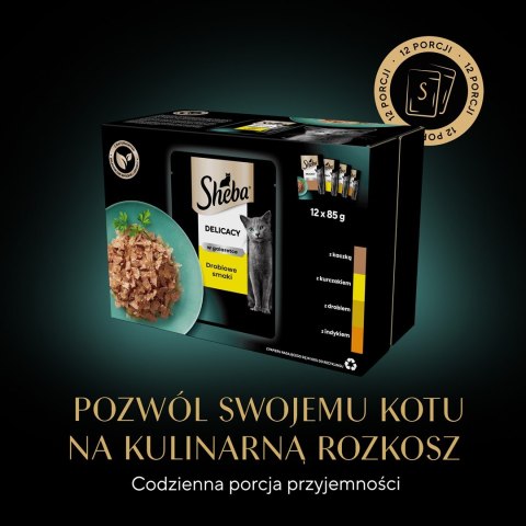 SHEBA Delicacy in Jelly Smaki Drobiowe - mokra karma dla kota - saszetka - 12x85 g SHEBA Delicacy in Jelly Smaki Drobiowe - mokra karma dla kota - saszetka - 12x85 g