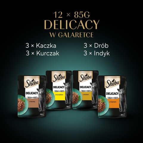 SHEBA Delicacy in Jelly Smaki Drobiowe - mokra karma dla kota - saszetka - 12x85 g SHEBA Delicacy in Jelly Smaki Drobiowe - mokra karma dla kota - saszetka - 12x85 g
