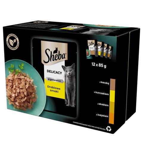 SHEBA Delicacy in Jelly Smaki Drobiowe - mokra karma dla kota - saszetka - 12x85 g SHEBA Delicacy in Jelly Smaki Drobiowe - mokra karma dla kota - saszetka - 12x85 g
