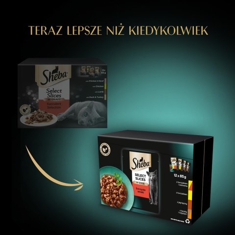 SHEBA Selection in Sauce Soczyste Smaki SHEBA Selection in Sauce Soczyste Smaki