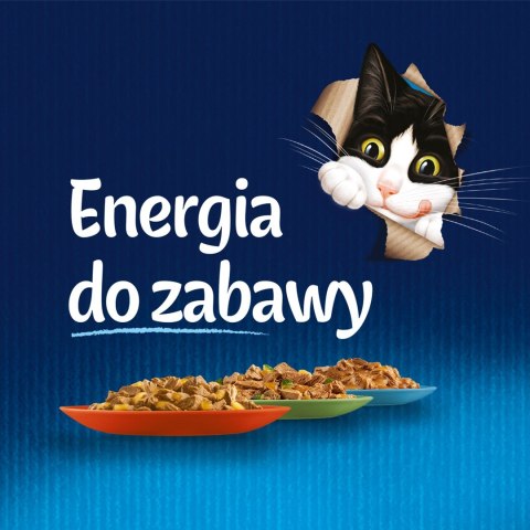 FELIX Sensations indyk, makrela, jagnięcina - mokra karma dla kota - 12x 85g FELIX Sensations indyk, makrela, jagnięcina - mokra karma dla kota - 12x 85g