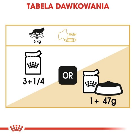 ROYAL CANIN FBN Maine Coon - mokra karma dla dorosłego kota - 12x85g ROYAL CANIN FBN Maine Coon - mokra karma dla dorosłego kota - 12x85g
