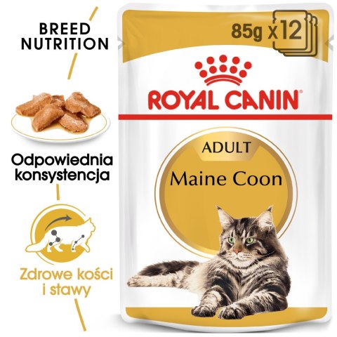 ROYAL CANIN FBN Maine Coon - mokra karma dla dorosłego kota - 12x85g ROYAL CANIN FBN Maine Coon - mokra karma dla dorosłego kota - 12x85g