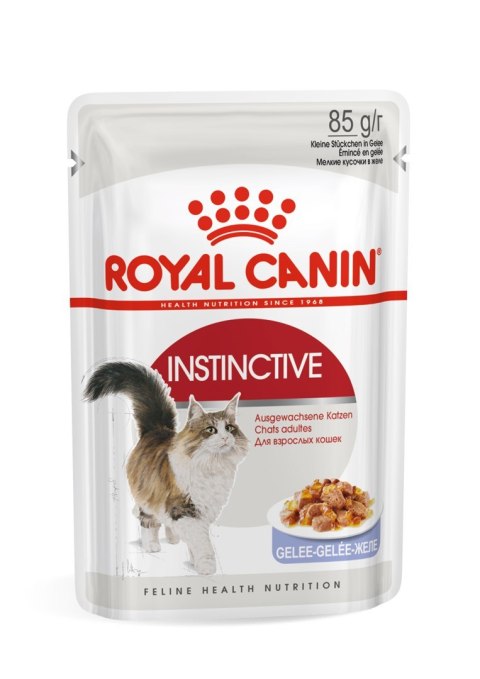 ROYAL CANIN FHN Instinctive w galaretce - mokra karma dla kota dorosłego - 12x85g ROYAL CANIN FHN Instinctive w galaretce - mokra karma dla kota dorosłego - 12x85g