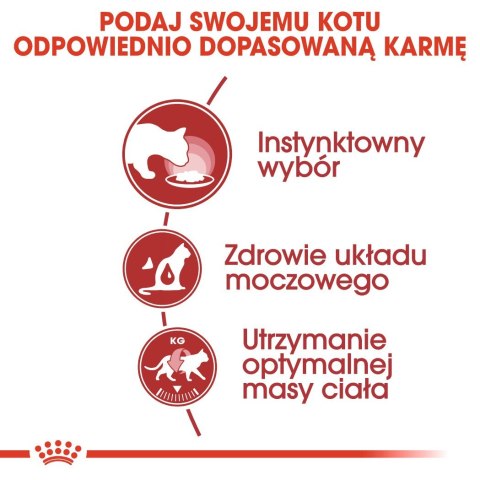 ROYAL CANIN FHN Instinctive w galaretce - mokra karma dla kota dorosłego - 12x85g ROYAL CANIN FHN Instinctive w galaretce - mokra karma dla kota dorosłego - 12x85g