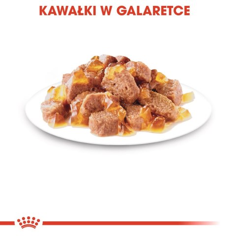 ROYAL CANIN FHN Instinctive w galaretce - mokra karma dla kota dorosłego - 12x85g ROYAL CANIN FHN Instinctive w galaretce - mokra karma dla kota dorosłego - 12x85g