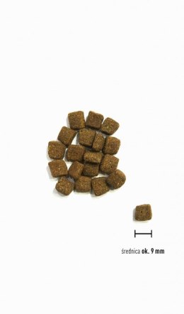 Orijen ORIJEN Small Breed Marine Fish małe rasy pies 1,8kg