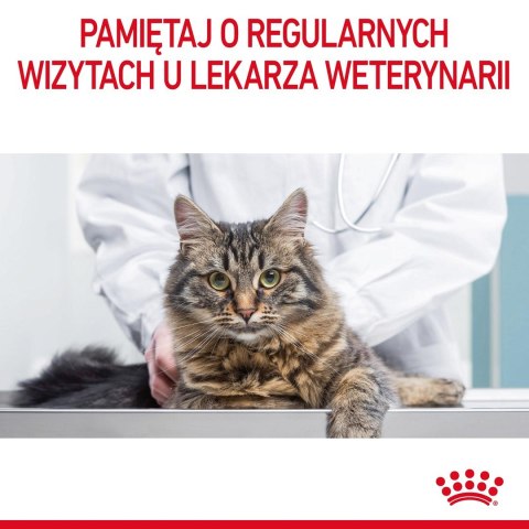 ROYAL CANIN Digestive Care 0,4kg - sucha karma dla kota ROYAL CANIN Digestive Care 0,4kg - sucha karma dla kota