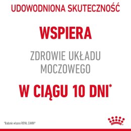 Royal Canin ROYAL CANIN FCN Urinary Care - sucha karma dla kota dorosłego - 10 kg