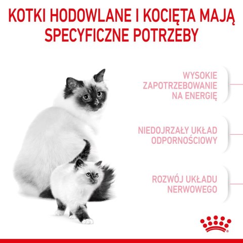 ROYAL CANIN FHN Mother&Babycat - sucha karma dla kociąt - 4kg ROYAL CANIN FHN Mother&Babycat - sucha karma dla kociąt - 4kg