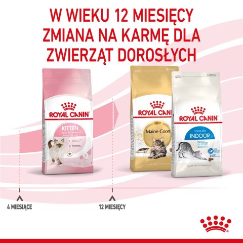 ROYAL CANIN Kitten 36 - sucha karma dla kota - 2 kg ROYAL CANIN Kitten 36 - sucha karma dla kota - 2 kg
