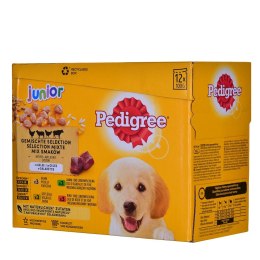 Pedigree PEDIGREE Junior Wybór smaków w galaretce - mokra karma dla psa - 12x100 g