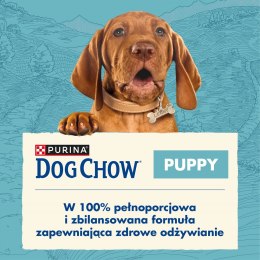 PURINA NESTLE PURINA DOG CHOW Puppy Lamb - sucha karma dla szczeniąt wszystkich ras - 14 kg