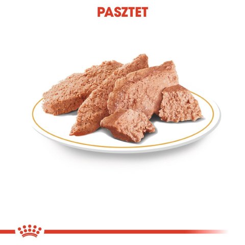 ROYAL CANIN BHN Chihuahua Adult - mokra karma dla psa dorosłego - 12x85g ROYAL CANIN BHN Chihuahua Adult - mokra karma dla psa dorosłego - 12x85g