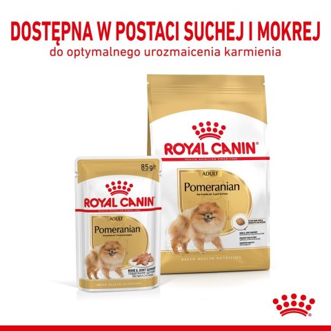 ROYAL CANIN BHN Pomeranian Adult - sucha karma dla psa dorosłego - 3kg ROYAL CANIN BHN Pomeranian Adult - sucha karma dla psa dorosłego - 3kg