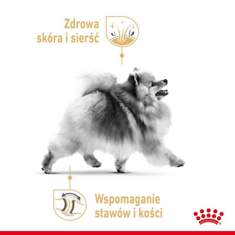 ROYAL CANIN BHN Pomeranian Adult - sucha karma dla psa dorosłego - 3kg ROYAL CANIN BHN Pomeranian Adult - sucha karma dla psa dorosłego - 3kg