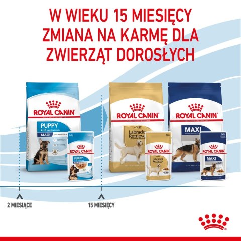ROYAL CANIN SHN Maxi Puppy w sosie - mokra karma dla szczeniąt - 10x140 g ROYAL CANIN SHN Maxi Puppy w sosie - mokra karma dla szczeniąt - 10x140 g
