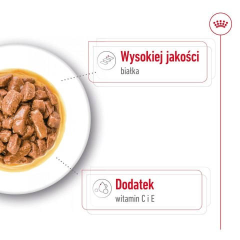 ROYAL CANIN SHN Medium Adult w sosie - mokra karma dla psa dorosłego - 10x140 g ROYAL CANIN SHN Medium Adult w sosie - mokra karma dla psa dorosłego - 10x140 g