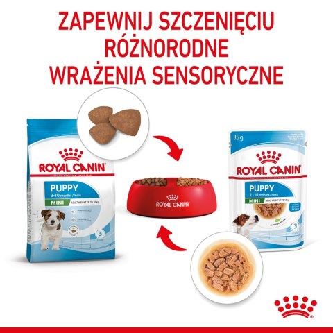 ROYAL CANIN SHN Mini Puppy w sosie - mokra karma dla szczeniąt - 12X85 g ROYAL CANIN SHN Mini Puppy w sosie - mokra karma dla szczeniąt - 12X85 g