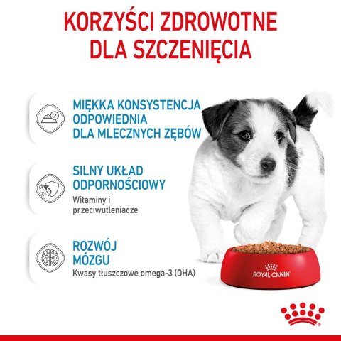 ROYAL CANIN SHN Mini Puppy w sosie - mokra karma dla szczeniąt - 12X85 g ROYAL CANIN SHN Mini Puppy w sosie - mokra karma dla szczeniąt - 12X85 g