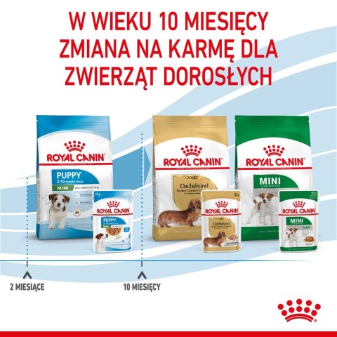 ROYAL CANIN SHN Mini Puppy w sosie - mokra karma dla szczeniąt - 12X85 g ROYAL CANIN SHN Mini Puppy w sosie - mokra karma dla szczeniąt - 12X85 g