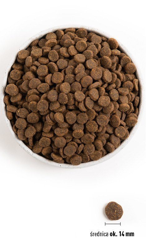 ACANA SINGLES Free-Run Duck - sucha karma dla psa - 11,4 kg ACANA SINGLES Free-Run Duck - sucha karma dla psa - 11,4 kg