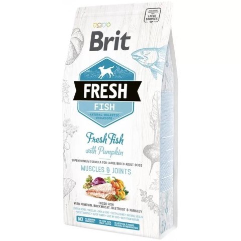 BRIT Fresh Fish & Pumpkin Adult Large muscles & joints 12kg BRIT Fresh Fish & Pumpkin Adult Large muscles & joints 12kg
