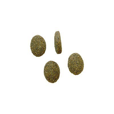 Bozita Robur Sensitive Single Protein Lamb 12,5kg Bozita Robur Sensitive Single Protein Lamb 12,5kg