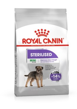Royal Canin ROYAL CANIN CCN MINI STERILISED - sucha karma dla psa dorosłego - 8kg