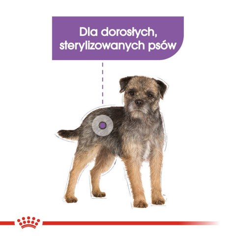 ROYAL CANIN CCN MINI STERILISED - sucha karma dla psa dorosłego - 8kg ROYAL CANIN CCN MINI STERILISED - sucha karma dla psa dorosłego - 8kg