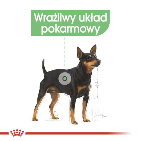 ROYAL CANIN Mini Digestive Care - karma sucha dla psów dorosłych ras małych - 1kg ROYAL CANIN Mini Digestive Care - karma sucha dla psów dorosłych ras małych - 1kg