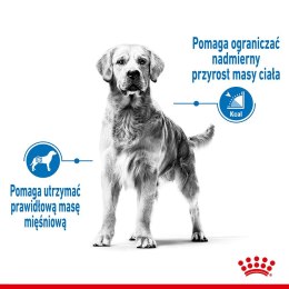Royal Canin ROYAL CANIN CCN MEDIUM LIGHT WEIGHT CARE - sucha karma dla psa dorosłego - 3kg
