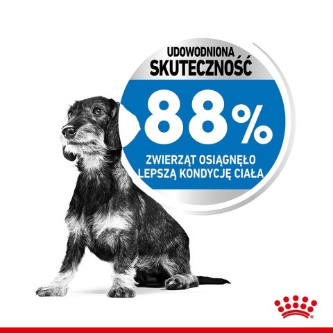 Royal Canin CCN MINI LIGHT WEIGHT CARE - sucha karma dla psa dorosłego - 3kg Royal Canin CCN MINI LIGHT WEIGHT CARE - sucha karma dla psa dorosłego - 3kg