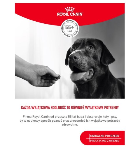ROYAL CANIN Digestion Adult Dog Supplements 160g ROYAL CANIN Digestion Adult Dog Supplements 160g