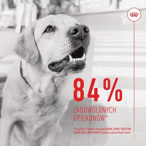 ROYAL CANIN Digestion Adult Dog Supplements 160g ROYAL CANIN Digestion Adult Dog Supplements 160g