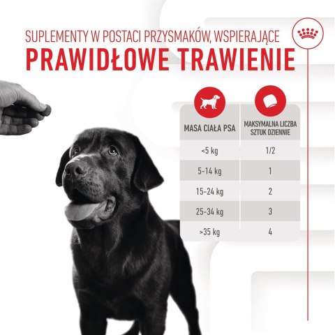 ROYAL CANIN Digestion Adult Dog Supplements 160g ROYAL CANIN Digestion Adult Dog Supplements 160g