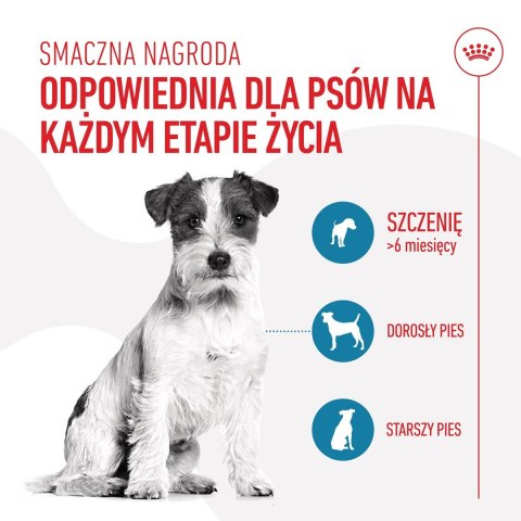 ROYAL CANIN Training Treat Dog 110g ROYAL CANIN Training Treat Dog 110g
