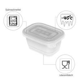Rotho Rotho Freeze zestaw pojemników do mrożenia 6 x 0,25l