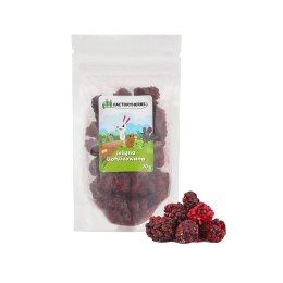 Factoryherbs FACTORYHERBS Jeżyna liofilizowana 20g