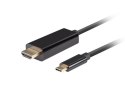 Lanberg LANBERG KABEL USB-C(M)->HDMI(M) 3M 4K 60HZ CZARNY CA-CMHD-10CU-0030-BK