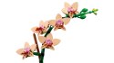 Lego LEGO ICONS 10343 Botanicals - Mała orchidea